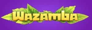 Diario de um vampiro online